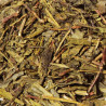 Sencha earl grey