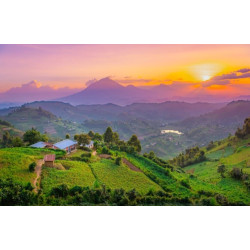 paysage ouganda couleurcafé